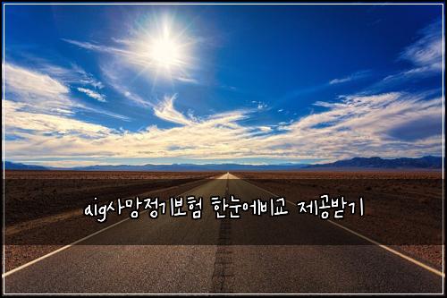 aig사망정기보험 한눈에비교  제공받기