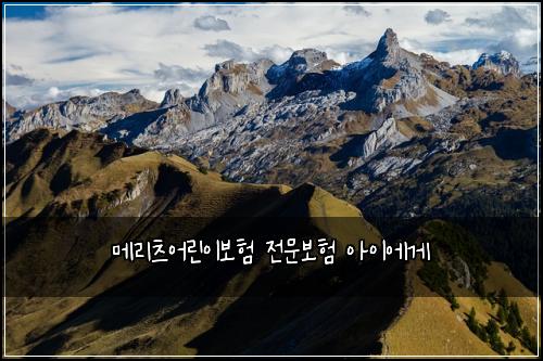 메리츠어린이보험 전문보험  아이에게