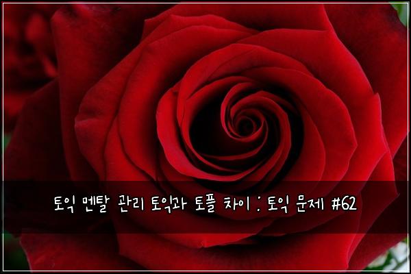 토익 멘탈 관리 토익과 토플 차이 : 토익 문제 #62
