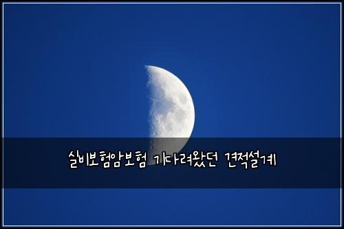 실비보험암보험 기다려왔던 견적설계