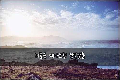 λμ‘Έμ¦ νμ보ν μ μλ§μΆ€