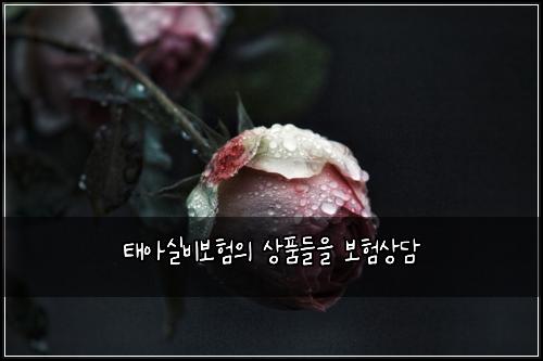 ํ์์ค๋น๋ณดํ์ ์ํ๋ค์ ๋ณดํ์๋ด