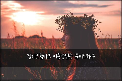 정기보험비교 이용방법은 준비노하우