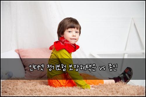 인터넷 정기보험 보장혜택은  vs 종신