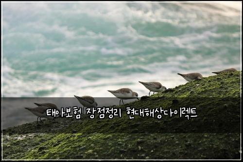태아보험 장점정리  현대해상다이렉트