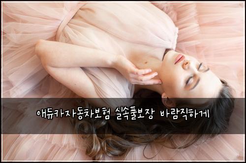 애듀카자동차보험 실속풀보장  바람직하게