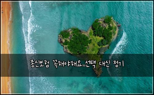 종신보험 꼭해야해요  선택 대신 정기
