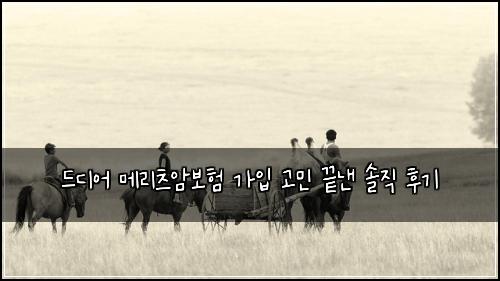 드디어 메리츠암보험 가입 고민 끝낸 솔직 후기