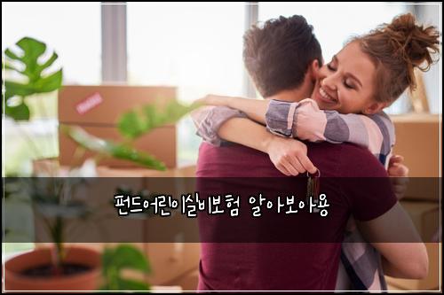 ํ๋์ด๋ฆฐ์ด์ค๋น๋ณดํ ์์๋ณด์์ฉ