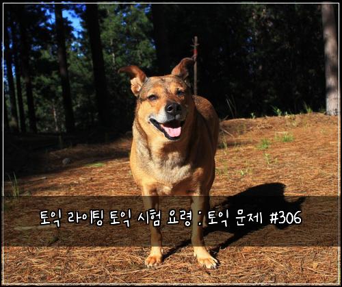 토익 라이팅 토익 시험 요령 : 토익 문제 #306