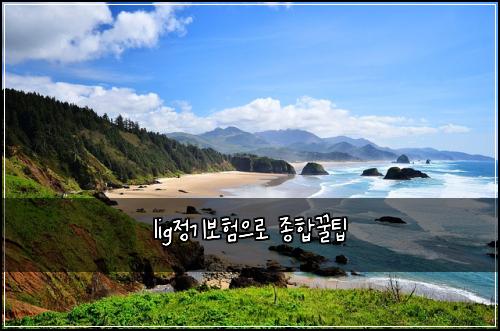 lig정기보험으로 종합꿀팁
