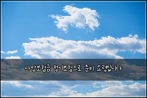 사망보험금 정기보험으로 준비 요령입니다