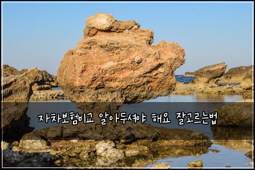 자차보험비교 알아두셔야 해요 잘고르는법