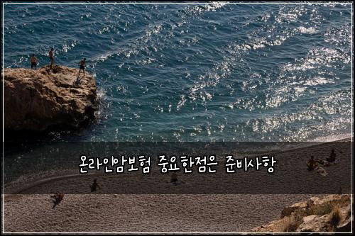 온라인암보험 중요한점은  준비사항