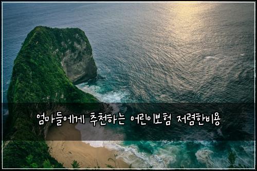 엄마들에게 추천하는 어린이보험 저렴한비용 