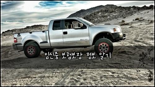 임신중 보험보장 정보 알기