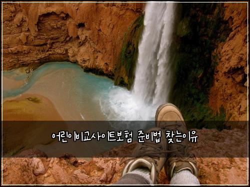 어린이비교사이트보험 준비법  찾는이유