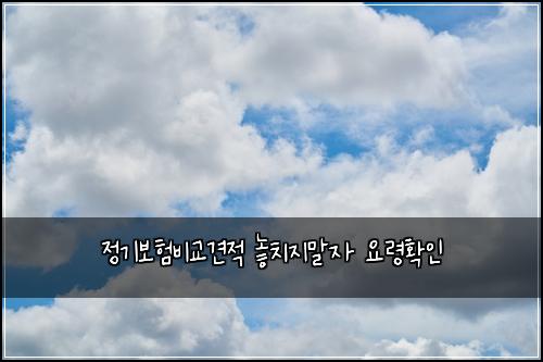 ์ ๊ธฐ๋ณดํ๋น๊ต๊ฒฌ์ ๋์น์ง๋ง์ ์๋ นํ์ธ
