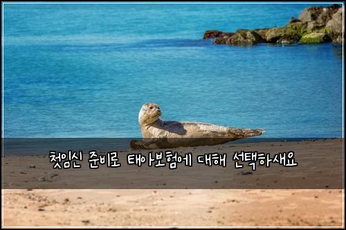 첫임신 준비로 태아보험에 대해 선택하새요