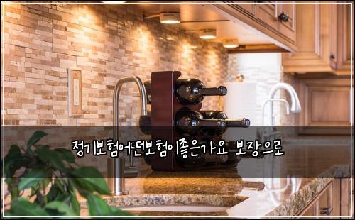 정기보험어떤보험이좋은가요 보장으로