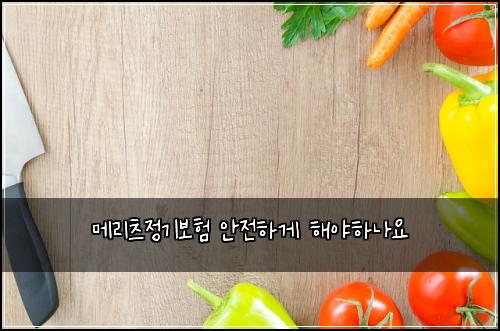 ๋ฉ๋ฆฌ์ธ ์ ๊ธฐ๋ณดํ ์์ ํ๊ฒ ํด์ผํ๋์
