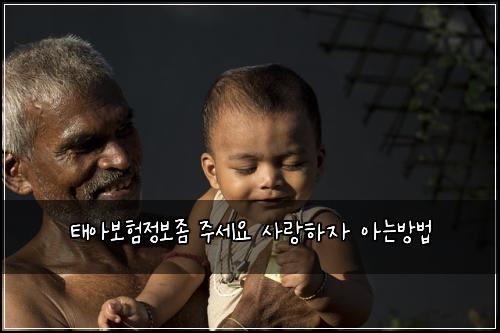 태아보험정보좀 주세요 사랑하자 아는방법