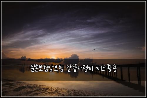실손보험암보험 알뜰저렴히 체크활용