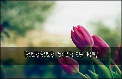 종신보험종신보험 정기보험 전문가선택