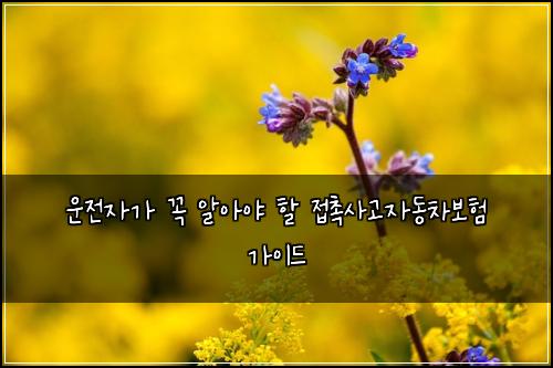 운전자가 꼭 알아야 할 접촉사고자동차보험 가이드