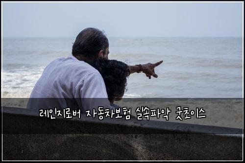 레인지로버 자동차보험 실속파악  굿초이스