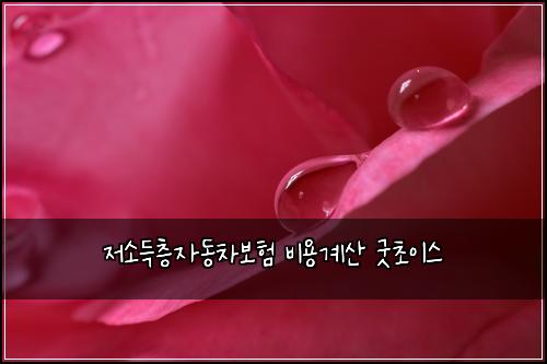 저소득층자동차보험 비용계산  굿초이스