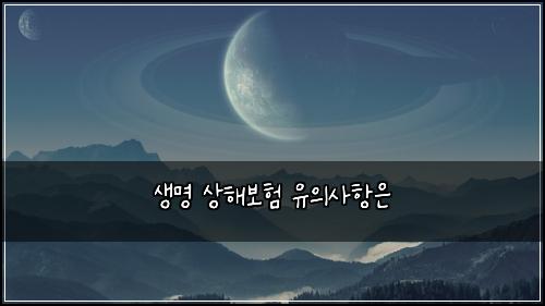 ์๋ช
์ํด๋ณดํ ์ ์์ฌํญ์