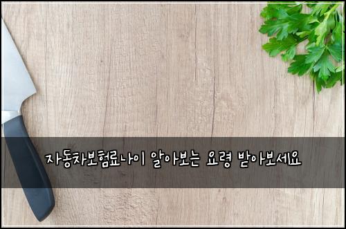 μλ차보νλ£λμ΄ μμ보λ μλ Ή λ°μ보μΈμ