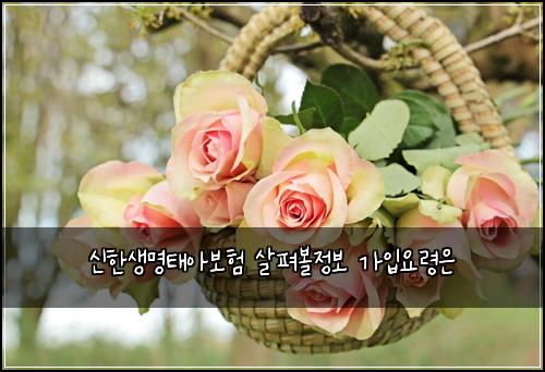 ์ ํ์๋ช
ํ์๋ณดํ ์ดํด๋ณผ์ ๋ณด ๊ฐ์
์๋ น์