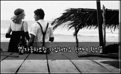 7์ผ์๋์ฐจ๋ณดํ ๊ฐ์
ํด๋ด์ ํ๋ฒ์ ํ์ธ๋