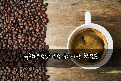 mg손해보험정기보험 유의사항 꿀팁전송