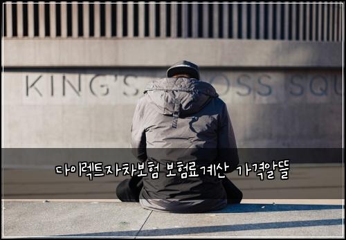 λ€μ΄λ νΈμ차보ν 보νλ£κ³μ° κ°κ²©μλ°