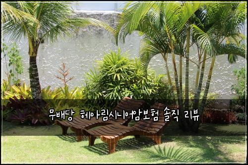 무배당 헤아림시니어암보험 솔직 리뷰