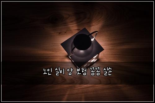 노인 실비 암 보험 꼼꼼  실손