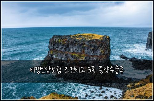 λΉκ°±μ μ보ν 쑰건λΉκ΅ 3μ’
μ’
μμμ ν