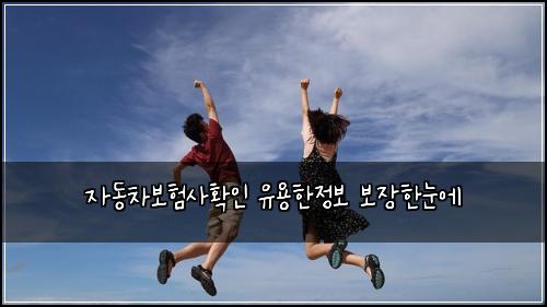 자동차보험사확인 유용한정보 보장한눈에