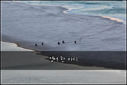 영어 한 마디