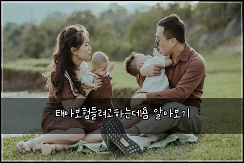 ํ์๋ณดํ๋ค๋ ค๊ณ ํ๋๋ฐ์ค ์์๋ณด๊ธฐ
