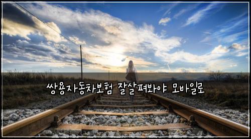 쌍용자동차보험 잘살펴봐야  모바일로