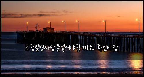 보험질병사망을넣어야할까요 확인바람