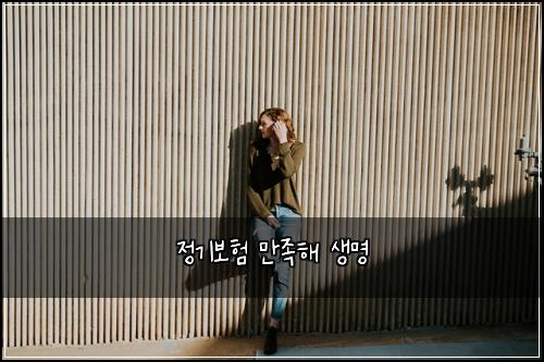정기보험 만족해  생명