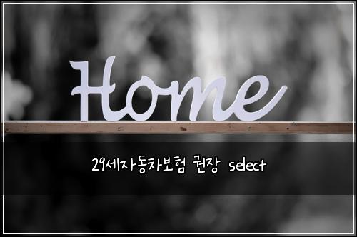 29์ธ์๋์ฐจ๋ณดํ ๊ถ์ฅ select