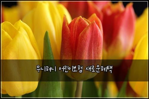 무니혀니 어린이보험 새로운혜택 