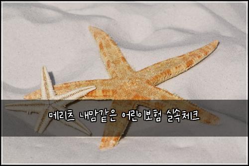๋ฉ๋ฆฌ์ธ ๋ด๋ง๊ฐ์ ์ด๋ฆฐ์ด๋ณดํ ์ค์์ฒดํฌ