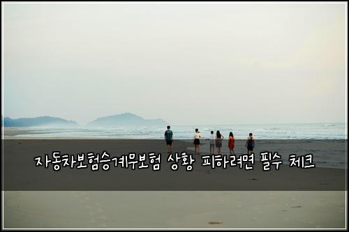 자동차보험승계무보험 상황 피하려면 필수 체크
